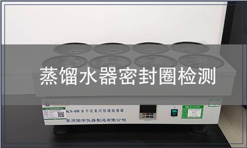 蒸餾水器密封圈檢測