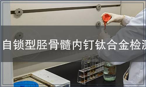 自鎖型脛骨髓內釘鈦合金檢測