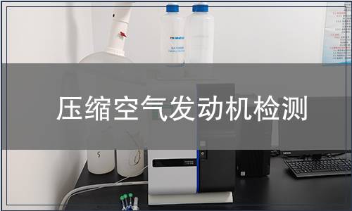 壓縮空氣發(fā)動(dòng)機(jī)檢測(cè)