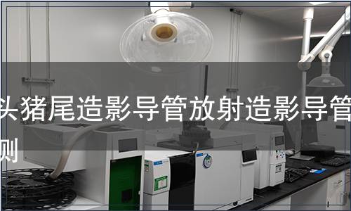 直頭豬尾造影導管放射造影導管檢測