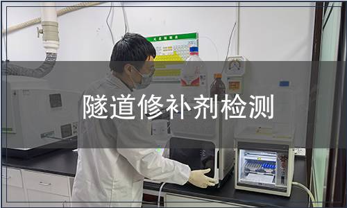 隧道修補劑檢測