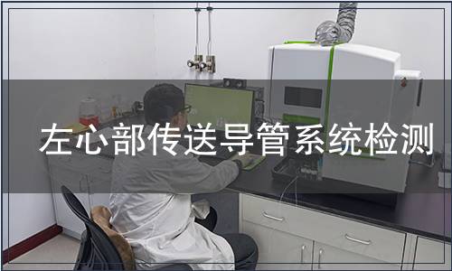 左心部傳送導管系統檢測