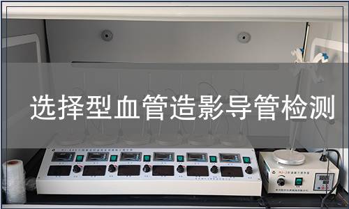 選擇型血管造影導管檢測