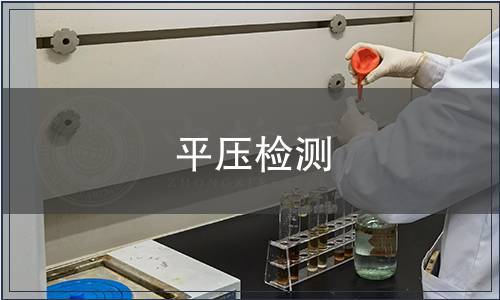 平壓檢測(cè)