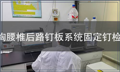 胸腰椎后路釘板系統固定釘檢測