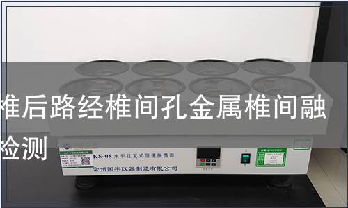 胸腰椎后路經(jīng)椎間孔金屬椎間融合器檢測