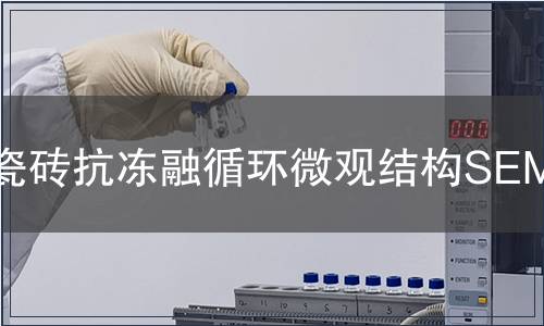 瓷磚抗凍融循環微觀結構SEM觀察