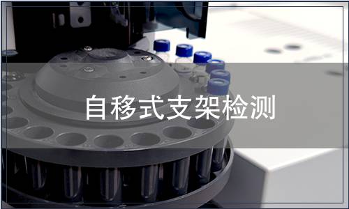 自移式支架檢測(cè)