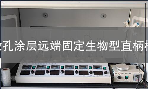 微孔涂層遠端固定生物型直柄檢測