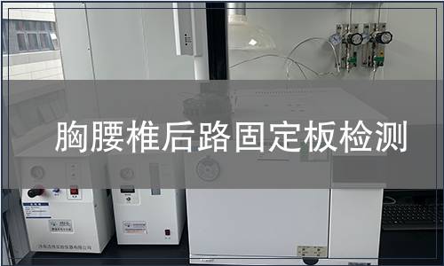 胸腰椎后路固定板檢測