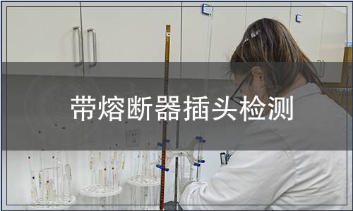 帶熔斷器插頭檢測