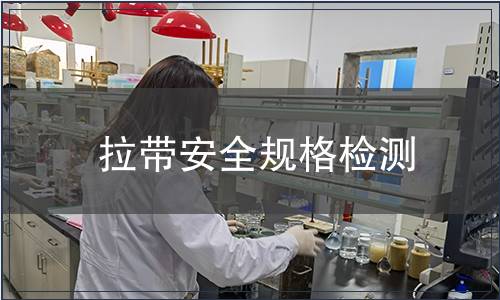 拉帶安全規格檢測