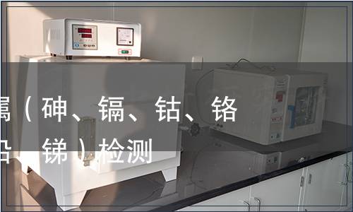 可溶性重金屬（砷、鎘、鈷、鉻、銅、鎳、鉛、銻）檢測