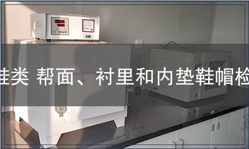 鞋類 幫面、襯里和內(nèi)墊鞋帽檢測