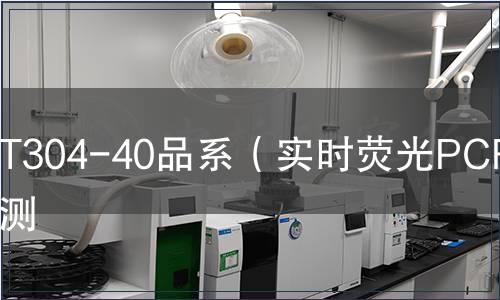 T304-40品系（實時熒光PCR）檢測