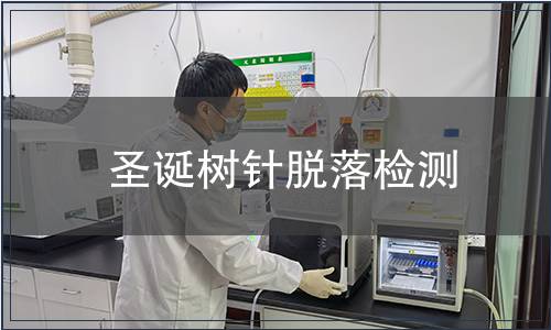 圣誕樹針脫落檢測