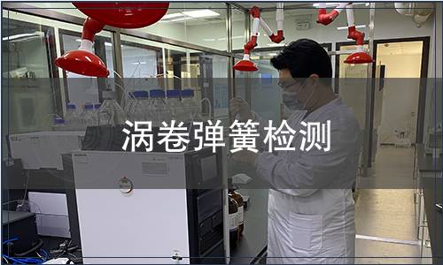 渦卷彈簧檢測(cè)