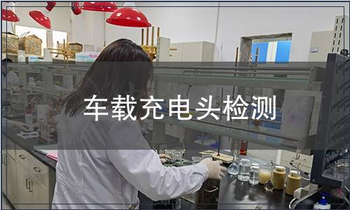 車載充電頭檢測