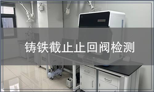 鑄鐵截止止回閥檢測(cè)