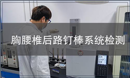 胸腰椎后路釘棒系統(tǒng)檢測(cè)