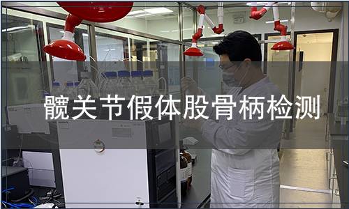 髖關(guān)節(jié)假體股骨柄檢測(cè)