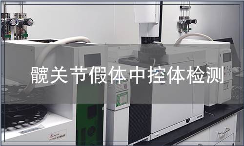 髖關(guān)節(jié)假體中控體檢測(cè)