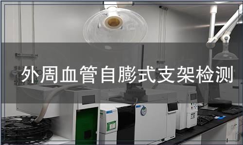 外周血管自膨式支架檢測