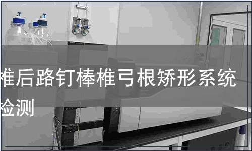 胸腰椎后路釘棒椎弓根矯形系統(tǒng)純鈦檢測