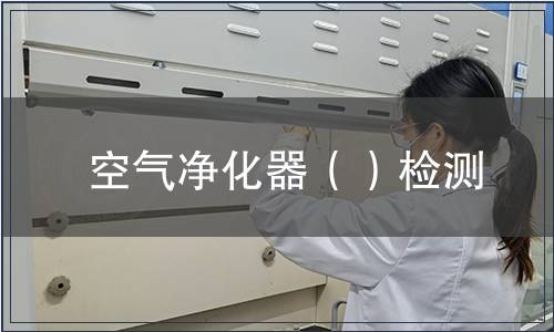 空氣凈化器（）檢測