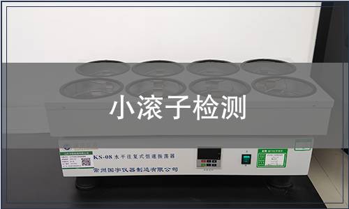 小滾子檢測(cè)