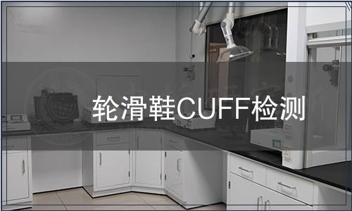 輪滑鞋CUFF檢測(cè)
