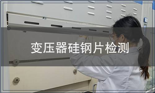 變壓器硅鋼片檢測