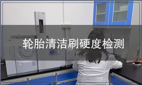 輪胎清潔刷硬度檢測