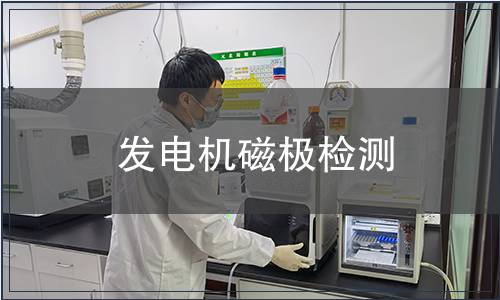 發(fā)電機(jī)磁極檢測