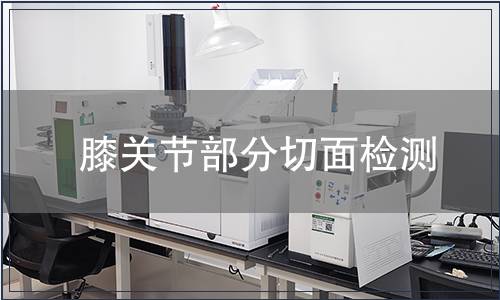 膝關節部分切面檢測