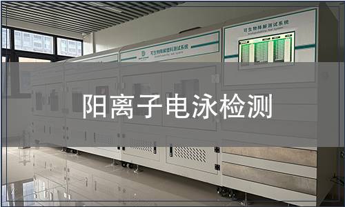 陽離子電泳檢測