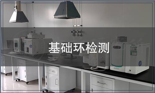 基礎(chǔ)環(huán)檢測(cè)