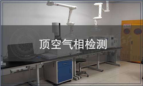 頂空氣相檢測