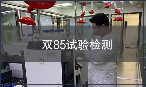 雙85試驗檢測