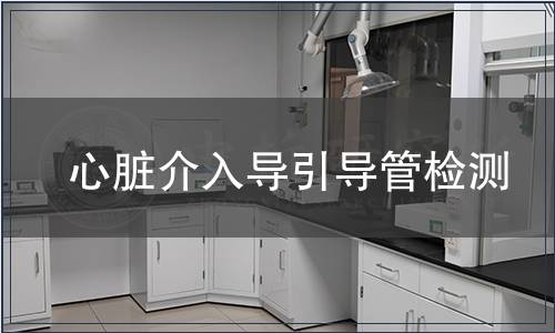 心臟介入導(dǎo)引導(dǎo)管檢測(cè)