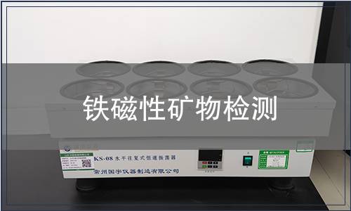 鐵磁性礦物檢測