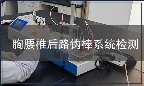 胸腰椎后路鉤棒系統(tǒng)檢測