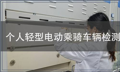 個人輕型電動乘騎車輛檢測
