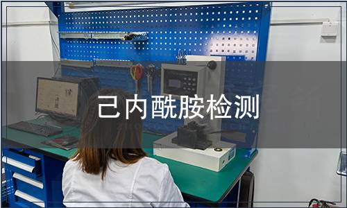 己內(nèi)酰胺檢測