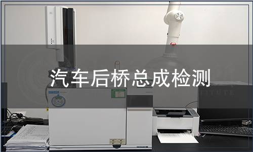 汽車后橋總成檢測