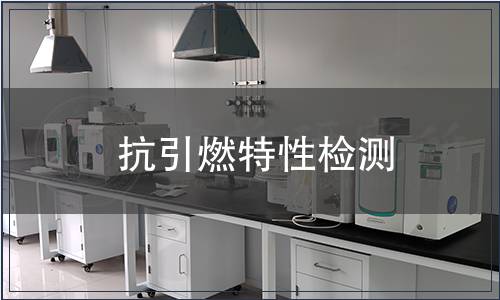 抗引燃特性檢測(cè)