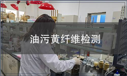 油污黃纖維檢測(cè)