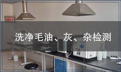 洗凈毛油、灰、雜檢測