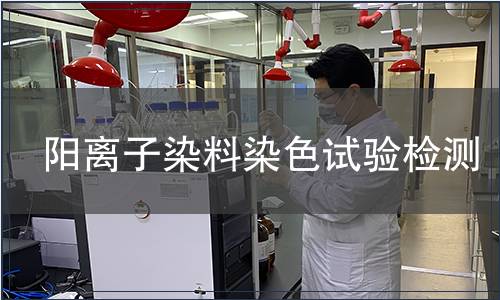 陽離子染料染色試驗檢測