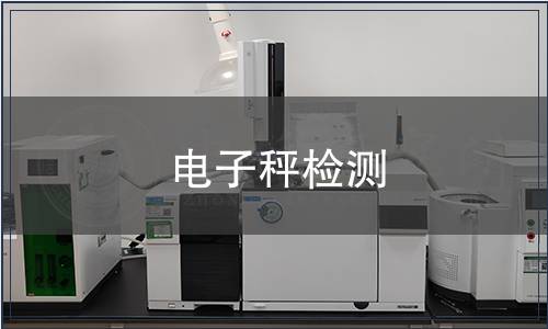 電子秤檢測(cè)